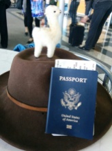 Mr. Vicuña is ready to go! Passport, Indiana Jones hat, boarding pass. He's excited to make some discoveries!
